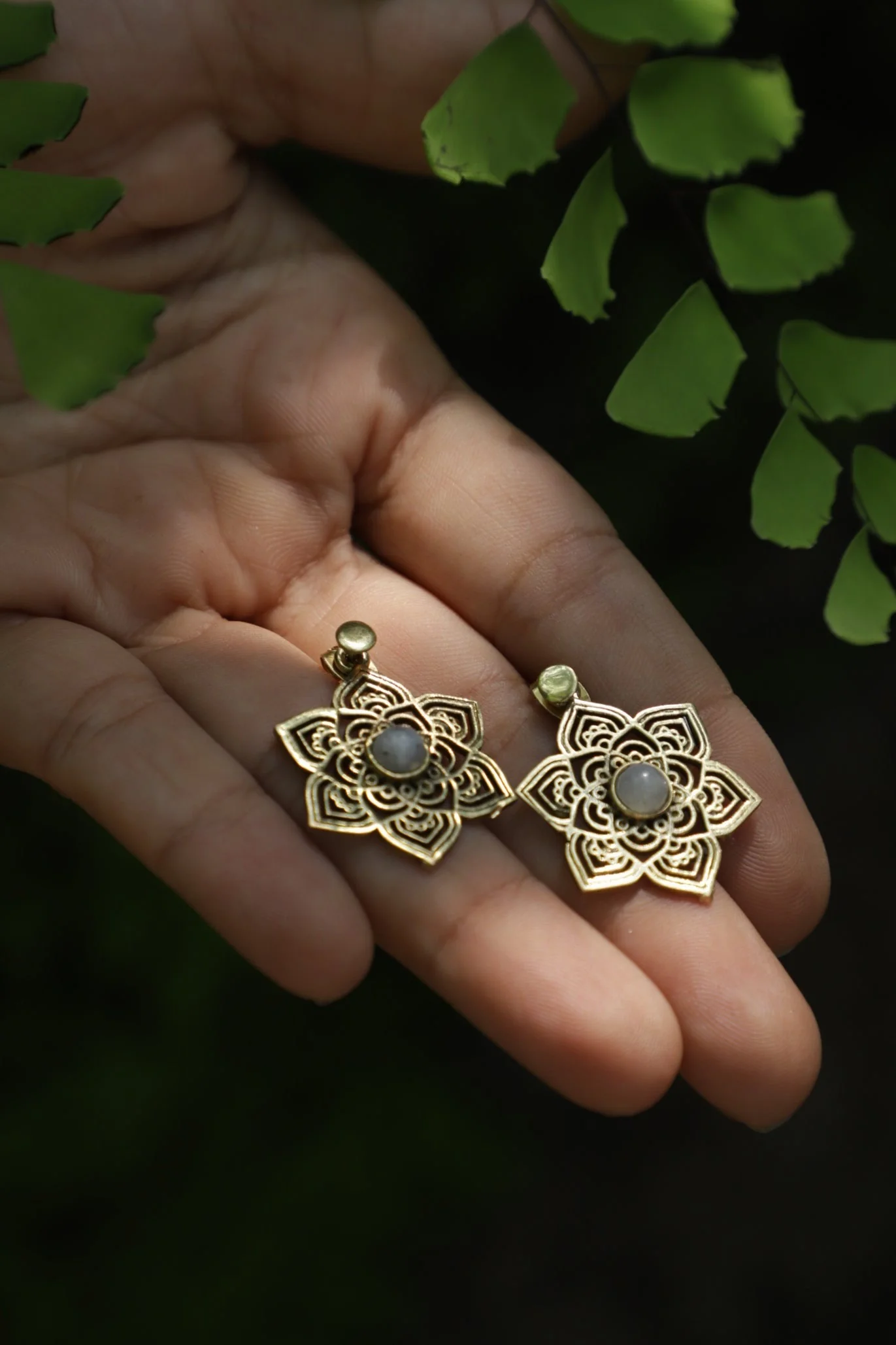 Aurora best seller set. Combo of 4 - Image 6